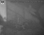 Capi_Dubne_20250628_010503.jpg