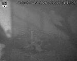 Capi_Dubne_20250628_011503.jpg