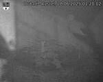 Capi_Dubne_20250628_012002.jpg