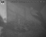 Capi_Dubne_20250628_014003.jpg