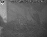 Capi_Dubne_20250628_014502.jpg