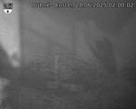 Capi_Dubne_20250628_020002.jpg