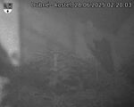 Capi_Dubne_20250628_022003.jpg