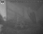 Capi_Dubne_20250628_030003.jpg