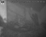 Capi_Dubne_20250628_040502.jpg