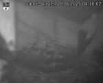 Capi_Dubne_20250628_041002.jpg