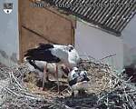 Capi_Dubne_20250628_155502.jpg