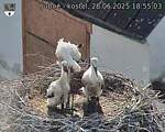 Capi_Dubne_20250628_185503.jpg