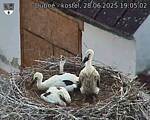Capi_Dubne_20250628_190502.jpg