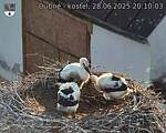 Capi_Dubne_20250628_201003.jpg
