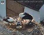 Capi_Dubne_20250628_201502.jpg