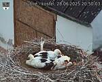Capi_Dubne_20250628_205003.jpg