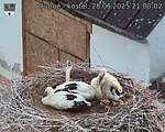 Capi_Dubne_20250628_210002.jpg