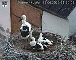 Capi_Dubne_20250628_213003.jpg