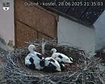 Capi_Dubne_20250628_213503.jpg