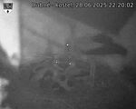 Capi_Dubne_20250628_222002.jpg