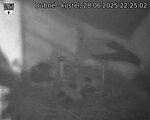 Capi_Dubne_20250628_222502.jpg