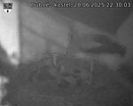 Capi_Dubne_20250628_223003.jpg