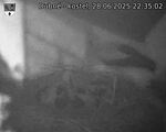 Capi_Dubne_20250628_223502.jpg