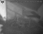 Capi_Dubne_20250628_224502.jpg