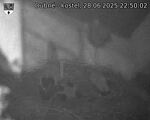 Capi_Dubne_20250628_225002.jpg