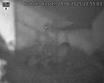 Capi_Dubne_20250628_225503.jpg