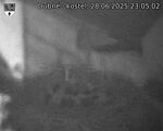 Capi_Dubne_20250628_230502.jpg