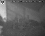 Capi_Dubne_20250628_231502.jpg