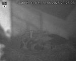 Capi_Dubne_20250628_232503.jpg
