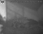 Capi_Dubne_20250628_233002.jpg