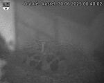 Capi_Dubne_20250630_004002.jpg