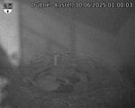 Capi_Dubne_20250630_010003.jpg