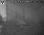 Capi_Dubne_20250630_010502.jpg