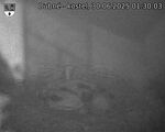 Capi_Dubne_20250630_013003.jpg
