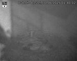 Capi_Dubne_20250630_014002.jpg