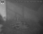 Capi_Dubne_20250630_015502.jpg
