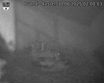 Capi_Dubne_20250630_020003.jpg