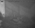 Capi_Dubne_20250630_020503.jpg