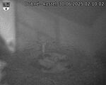 Capi_Dubne_20250630_021002.jpg