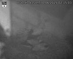 Capi_Dubne_20250630_021503.jpg