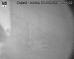 Capi_Dubne_20250630_025503.jpg
