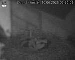 Capi_Dubne_20250630_032002.jpg