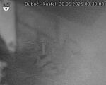 Capi_Dubne_20250630_033003.jpg