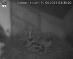 Capi_Dubne_20250630_033502.jpg