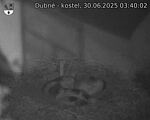 Capi_Dubne_20250630_034002.jpg