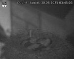 Capi_Dubne_20250630_034503.jpg