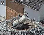 Capi_Dubne_20250630_143502.jpg