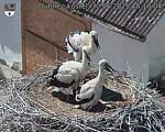 Capi_Dubne_20250630_151004.jpg