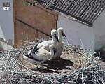 Capi_Dubne_20250630_152002.jpg