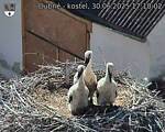 Capi_Dubne_20250630_171002.jpg